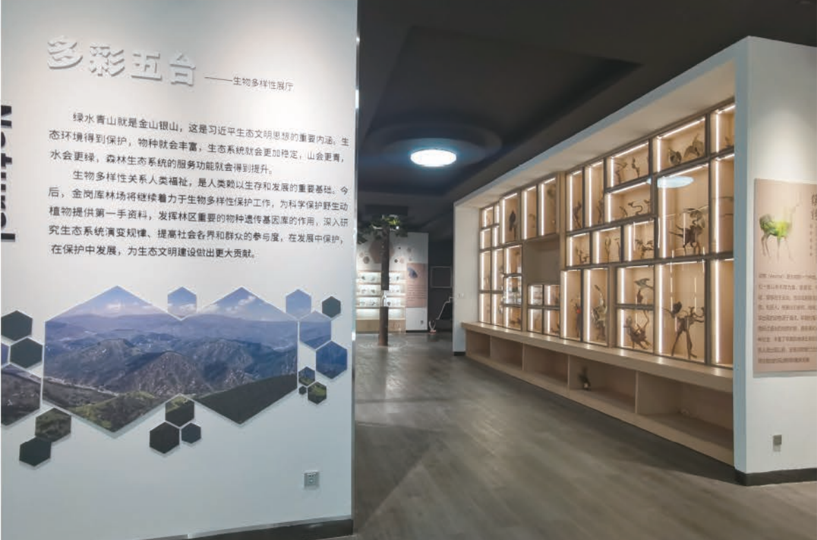 五台山标本馆（山西·五台山） — 展陈篇实景效果图 1