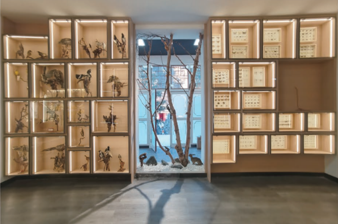 五台山标本馆（山西·五台山） — 展陈篇实景效果图 2