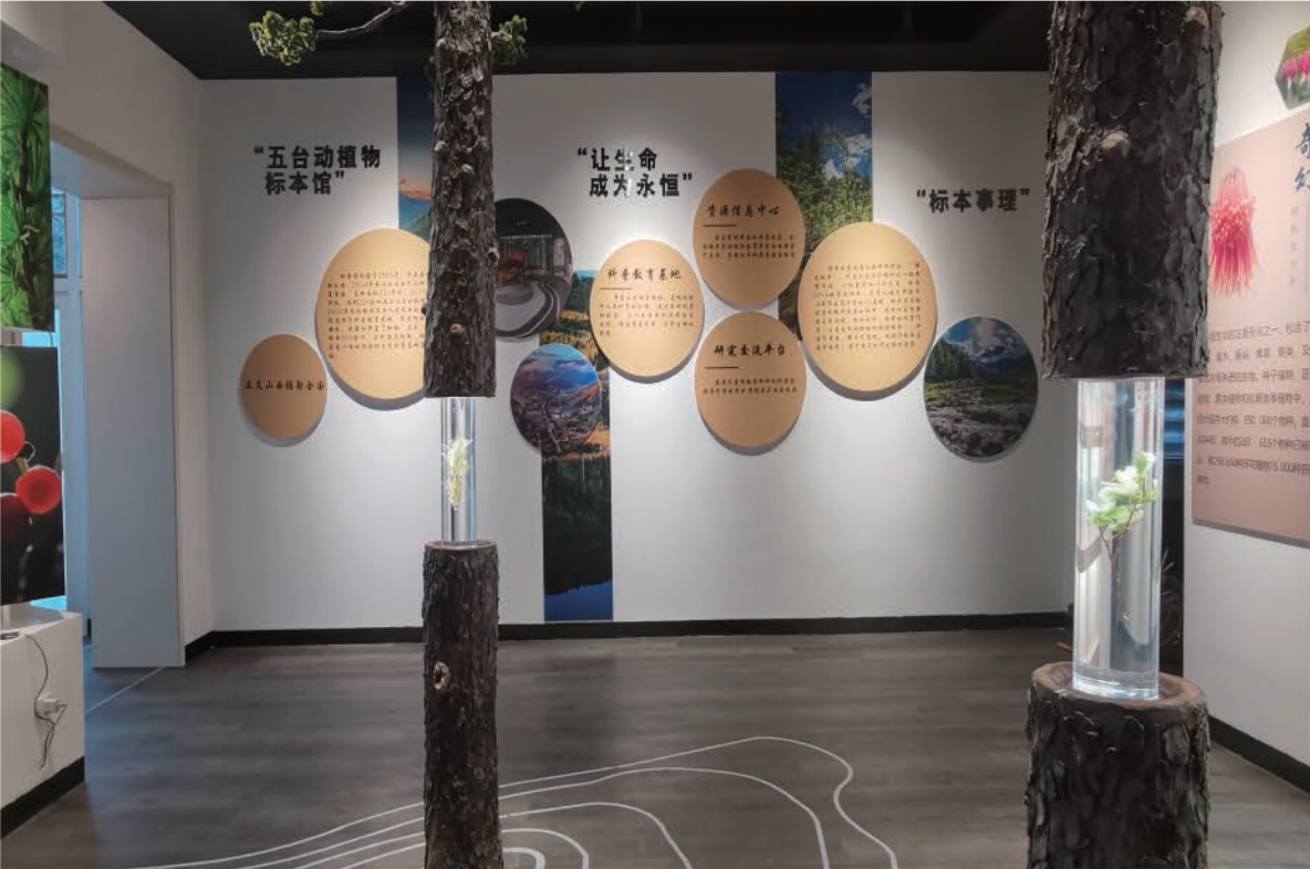 五台山标本馆（山西·五台山） — 展陈篇实景效果图 3